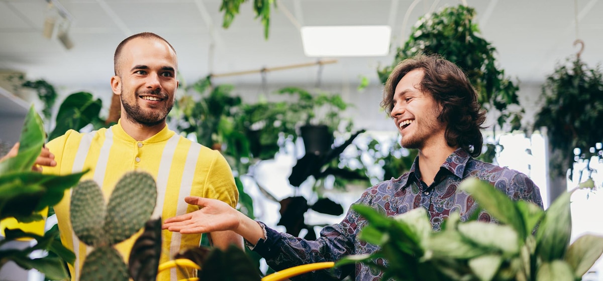 Entreprise experte en dératisation à Arras