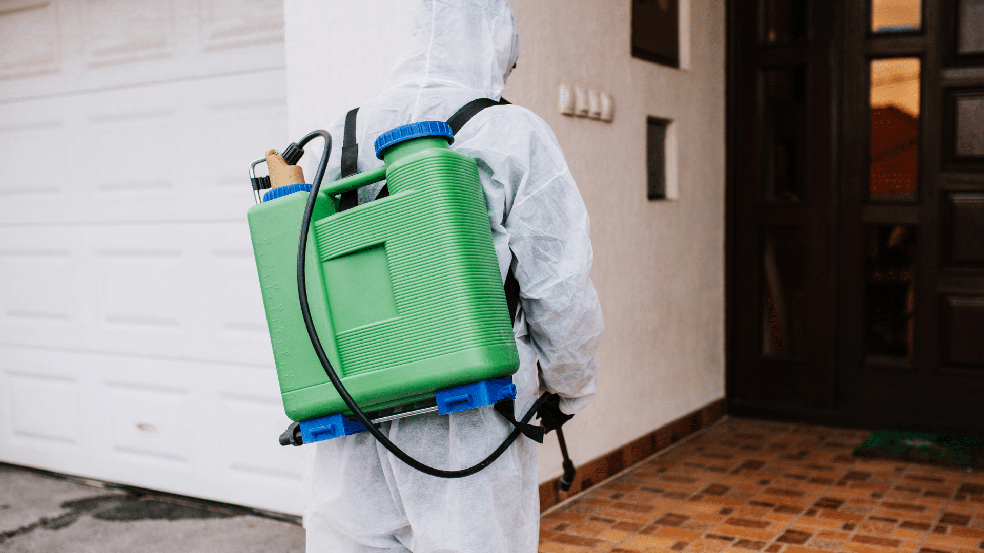 dératiseur à Arras