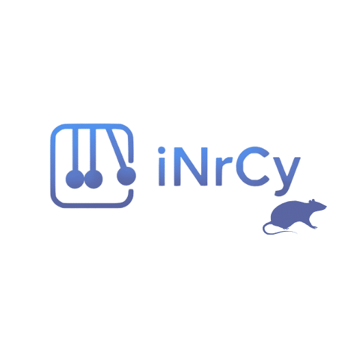 Dératiseur à Arras