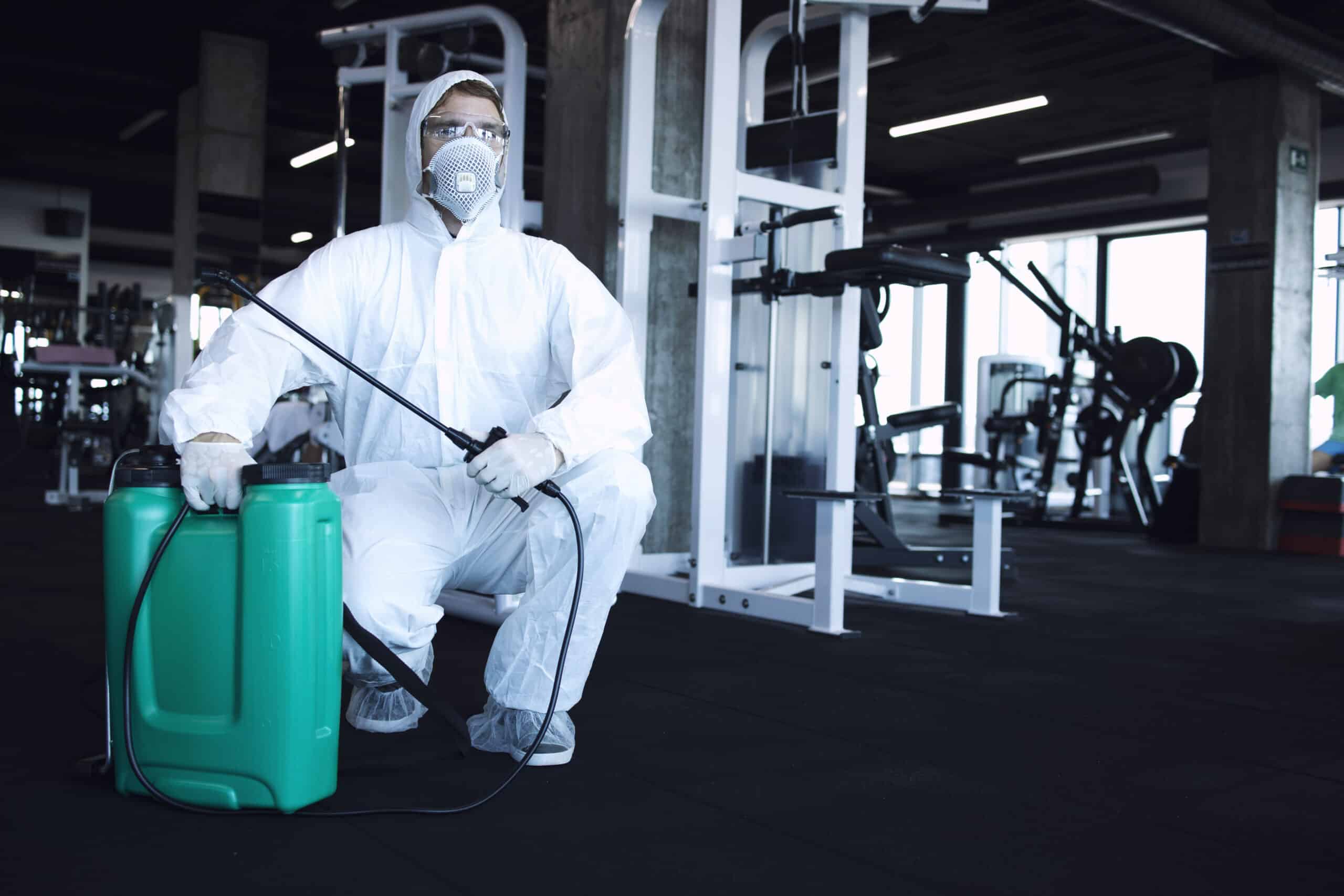 Dératisation à Dainville