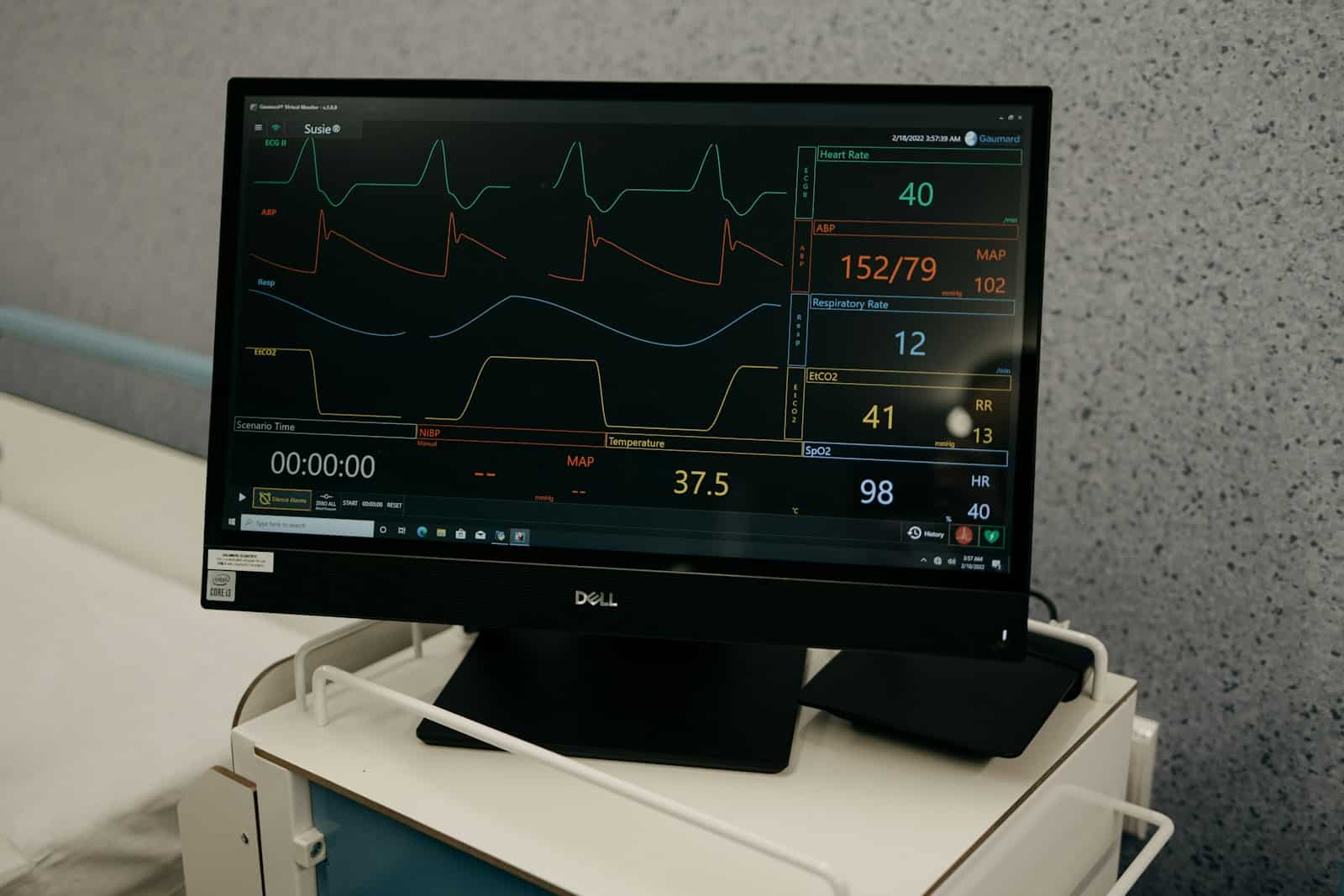 Désinsectisation professionnelle à Arras