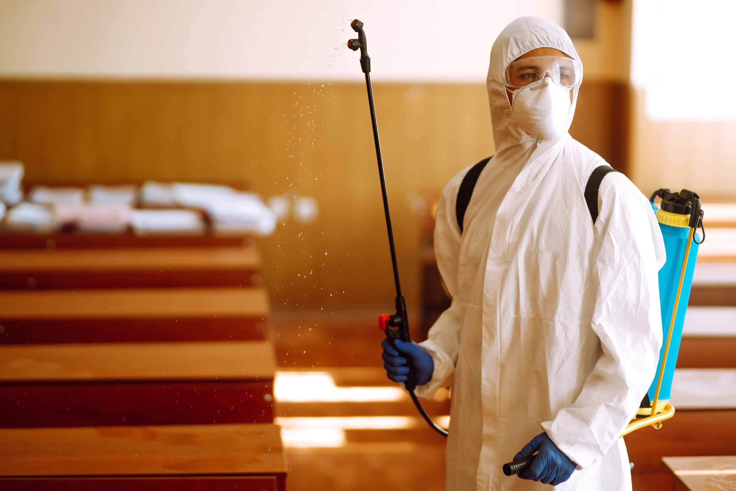 Désinsectisation professionnelle à Arras