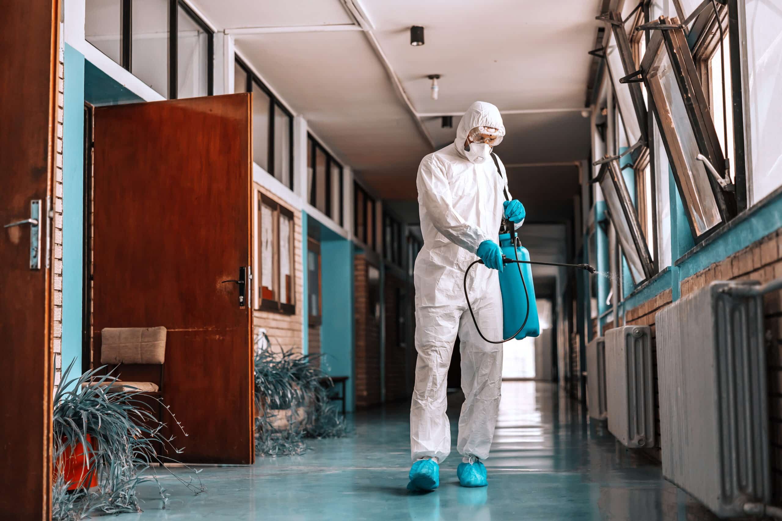 dératiseur à Dainville