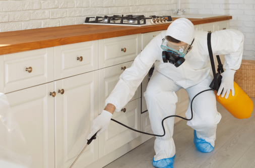 dératiseur à Arras