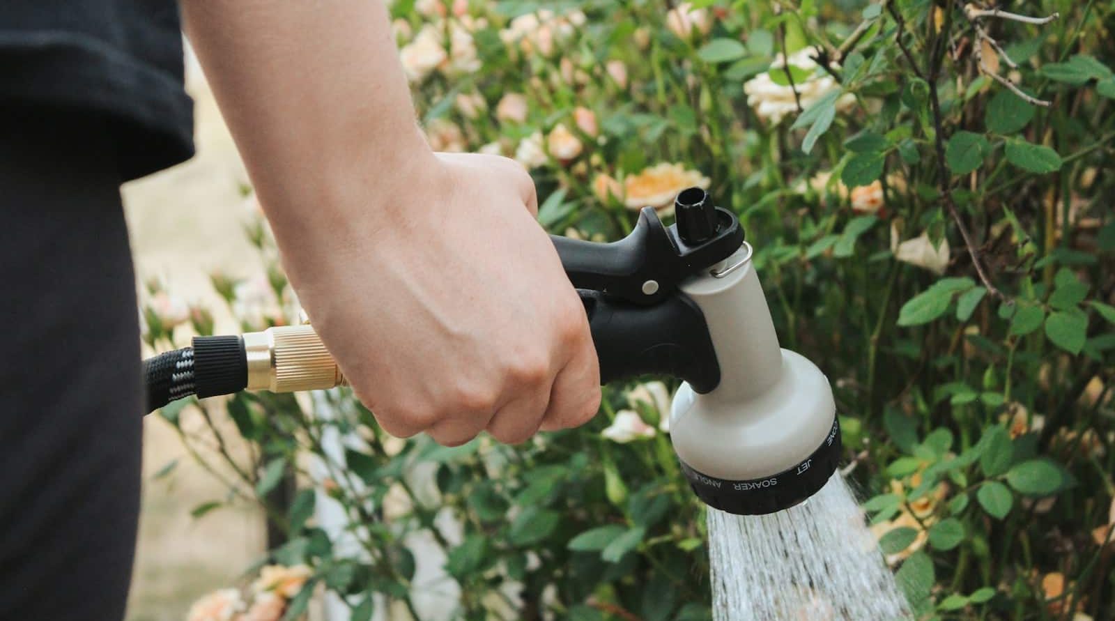 Locauxier et dératiseur incontournable à Arras