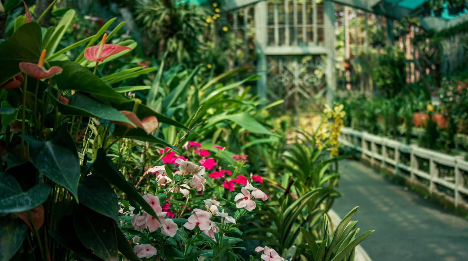 Locauxier et dératiseur incontournable à Arras