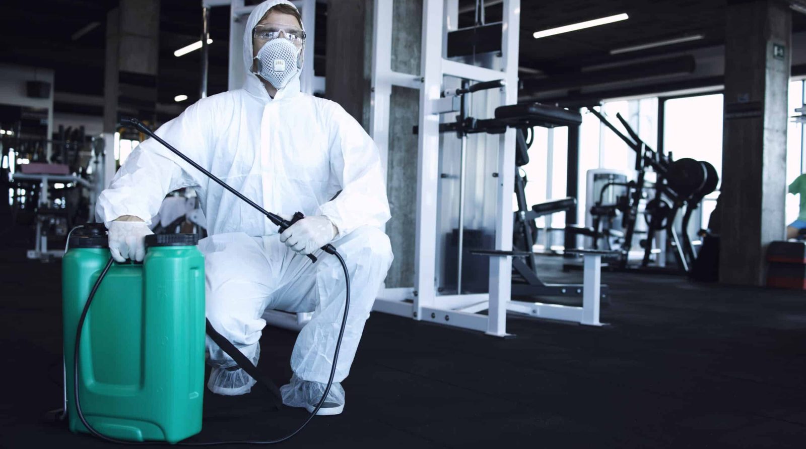 Dératisation à Dainville