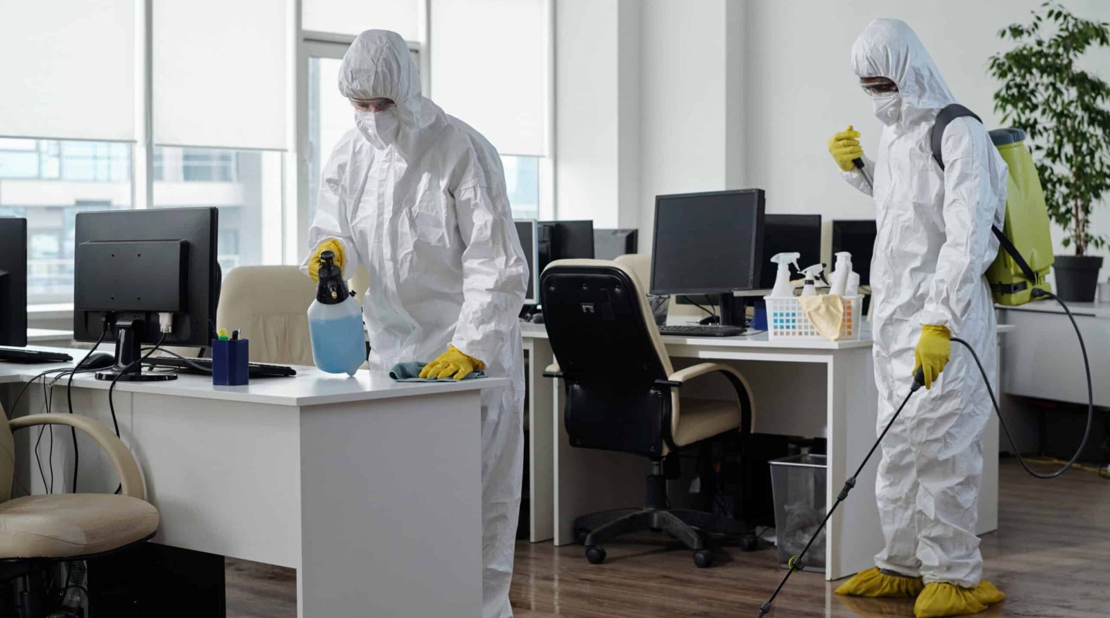 Votre expert en dératisation à Anzin-Saint-Aubin