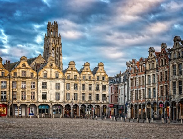 dératiseur à Arras