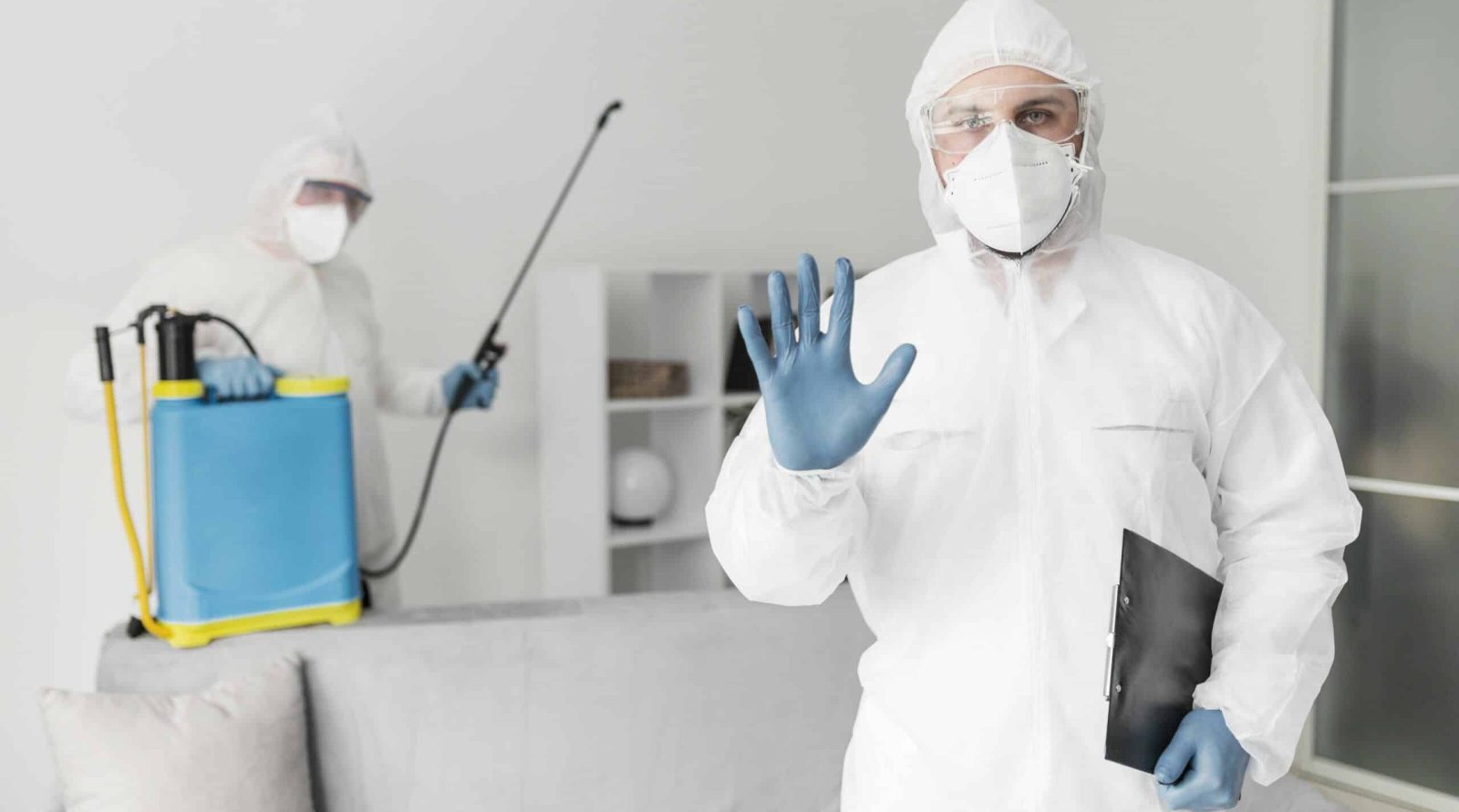 Dératisation à Bapaume