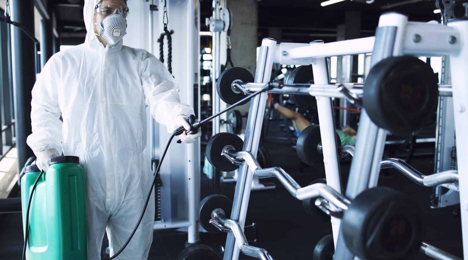 Dératisation à Dainville