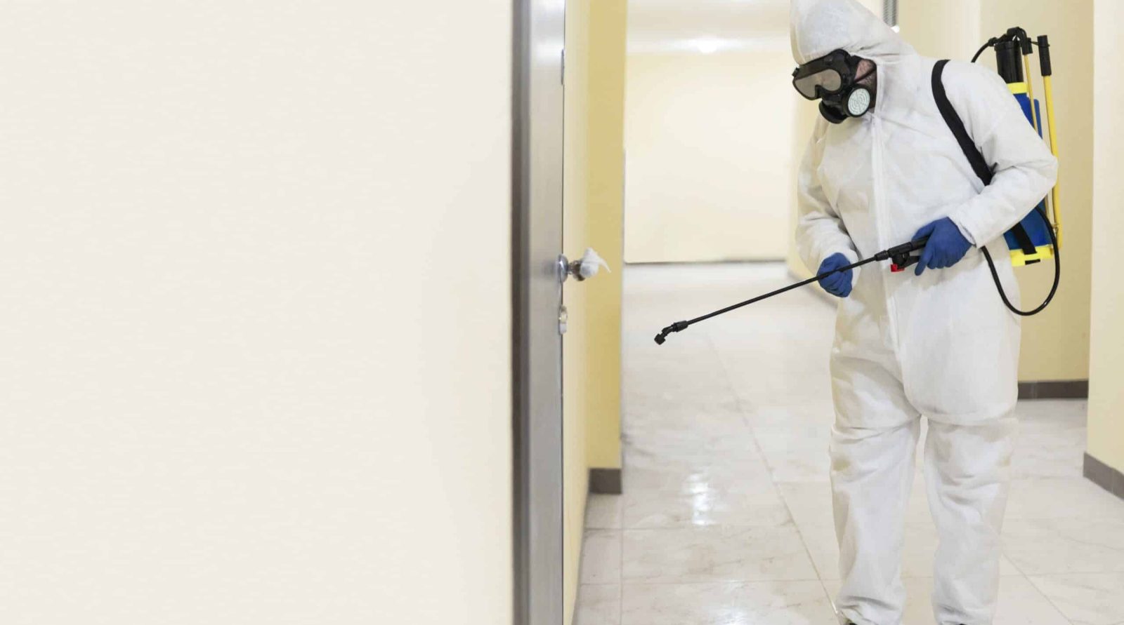 Dératisation à Dainville