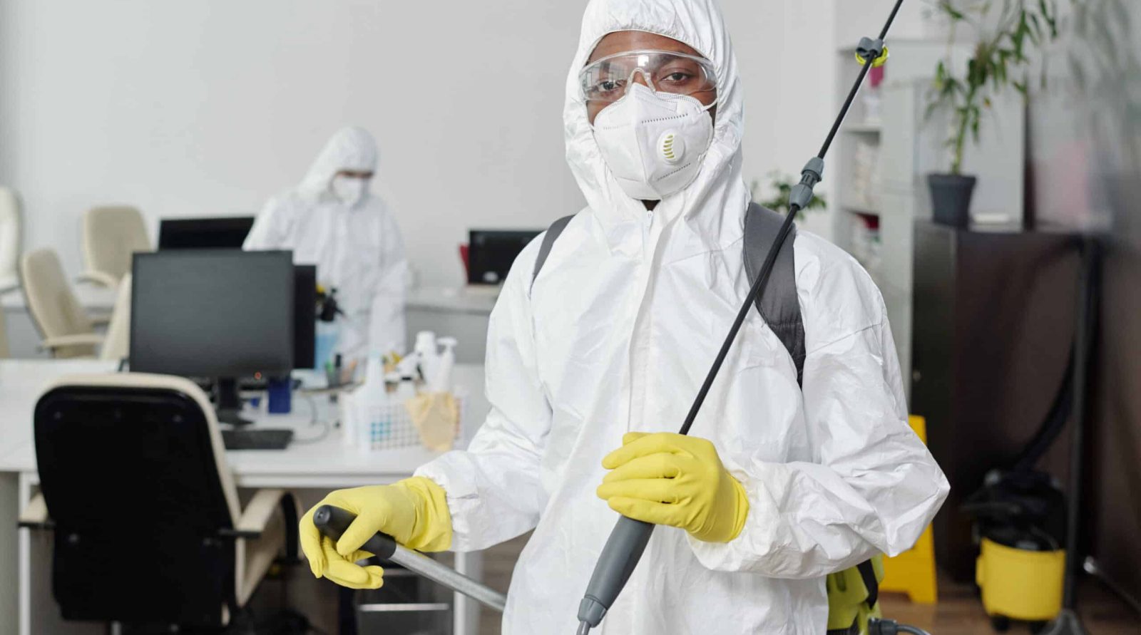 Dératisation à Dainville