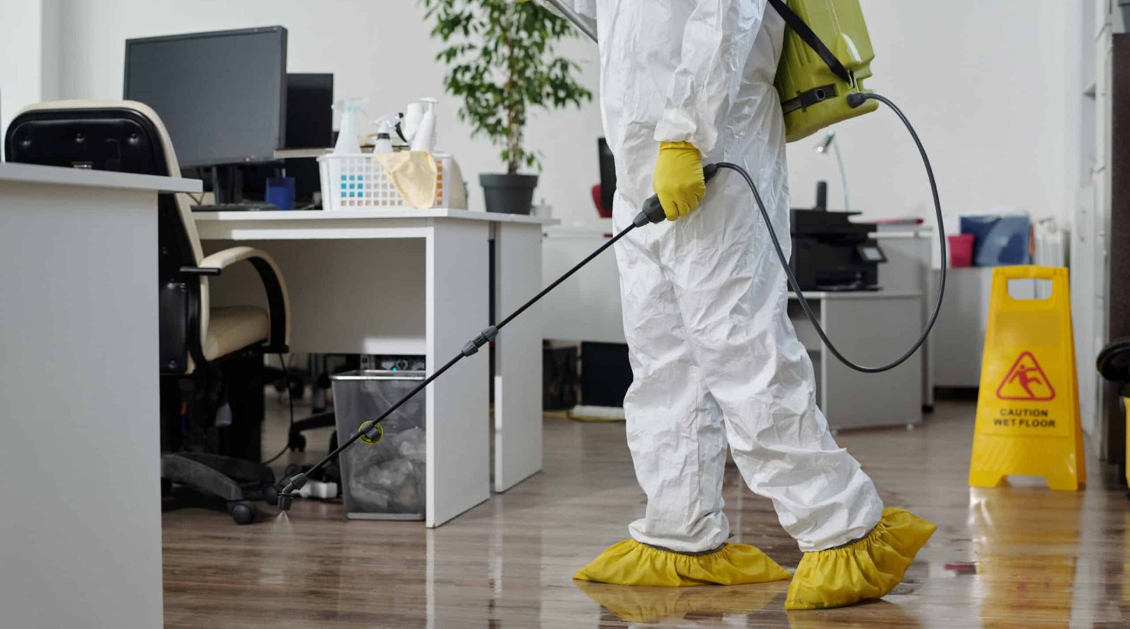 Votre expert en dératisation à Anzin-Saint-Aubin