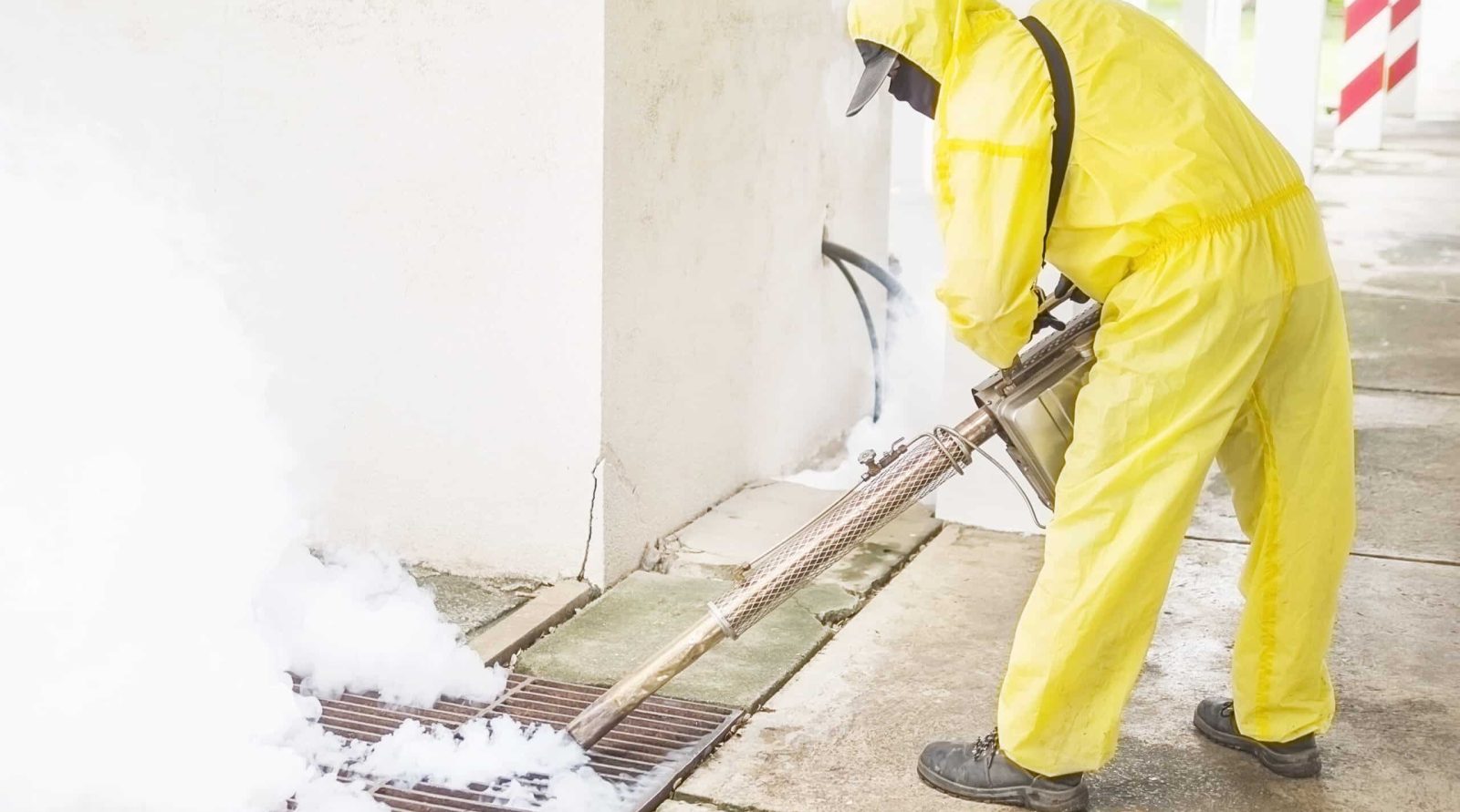 Désinsectisation professionnelle à Arras