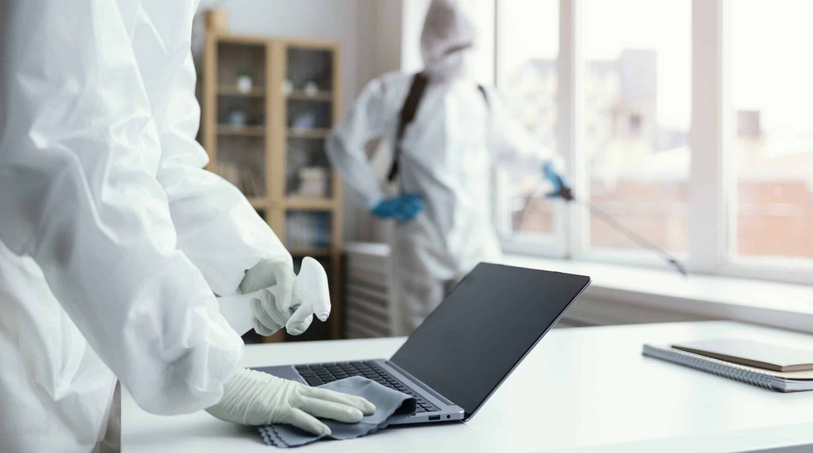 Dératisation à Dainville