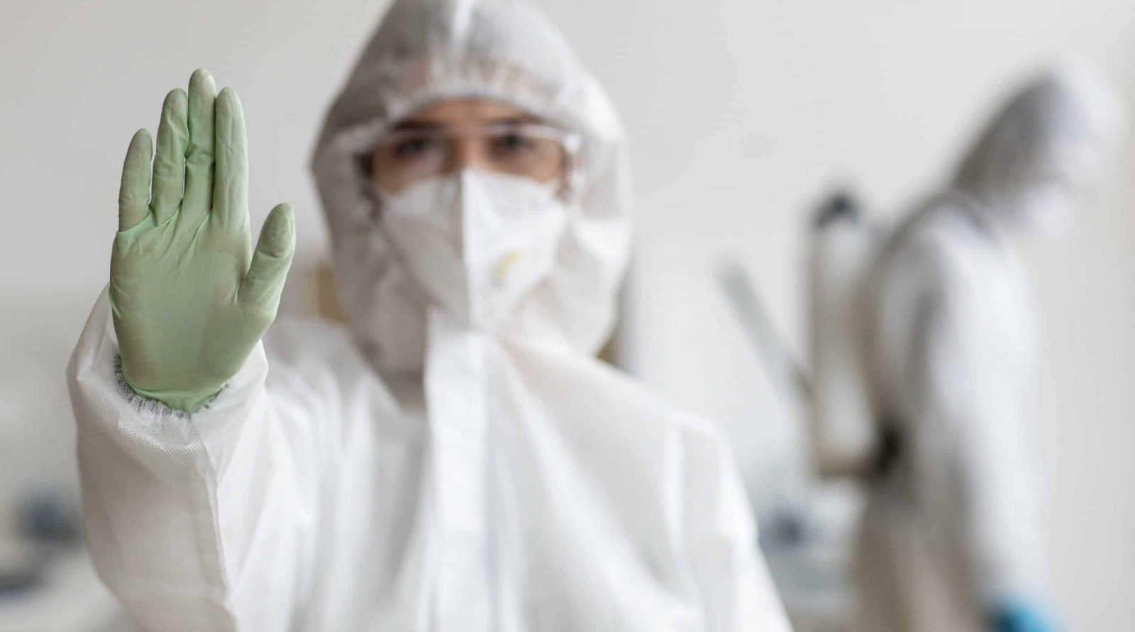 Dératisation à Bapaume