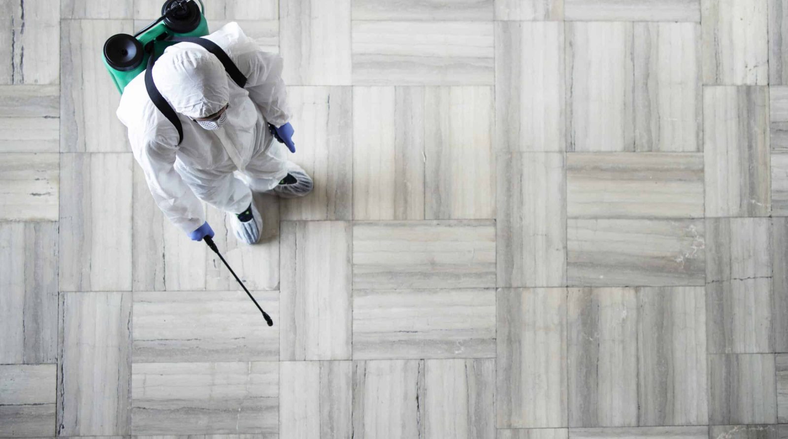 Votre expert en dératisation à Beaurains