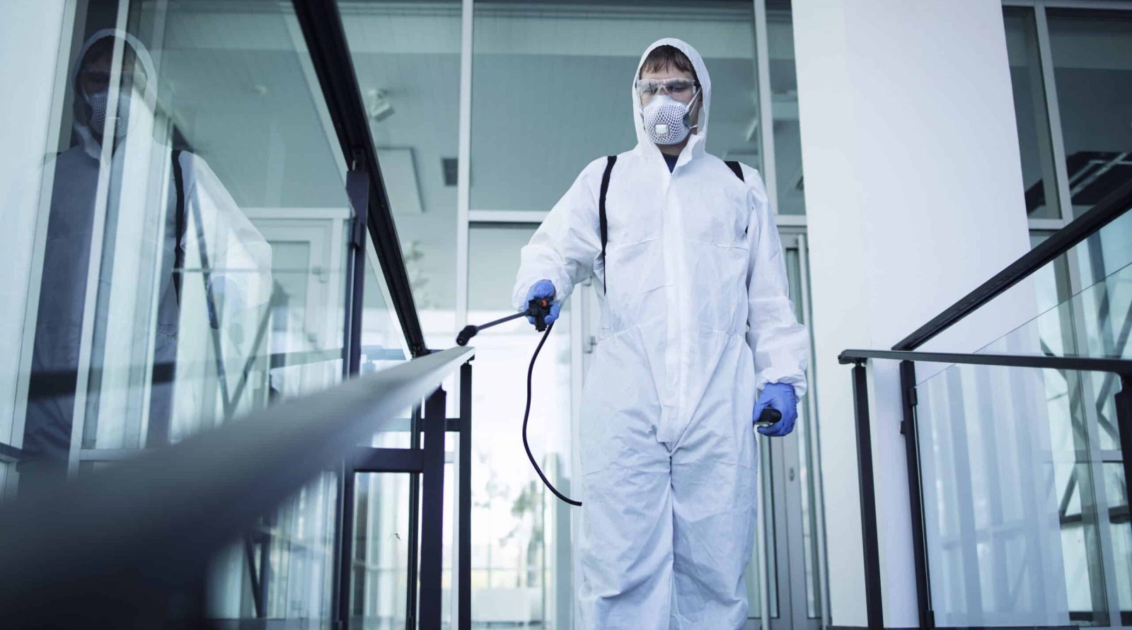 Votre expert en dératisation à Beaurains