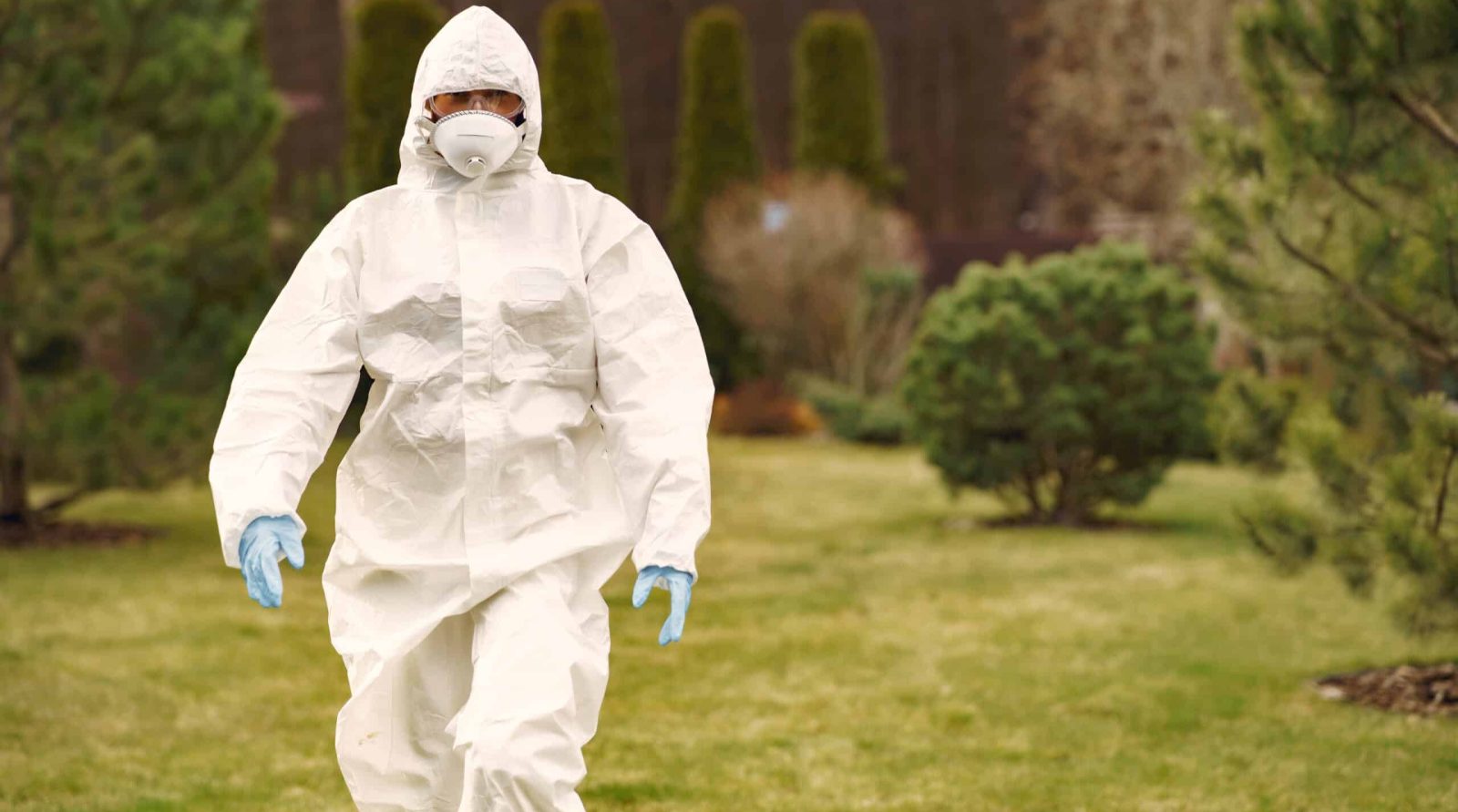 Entreprise experte en dératisation à Arras