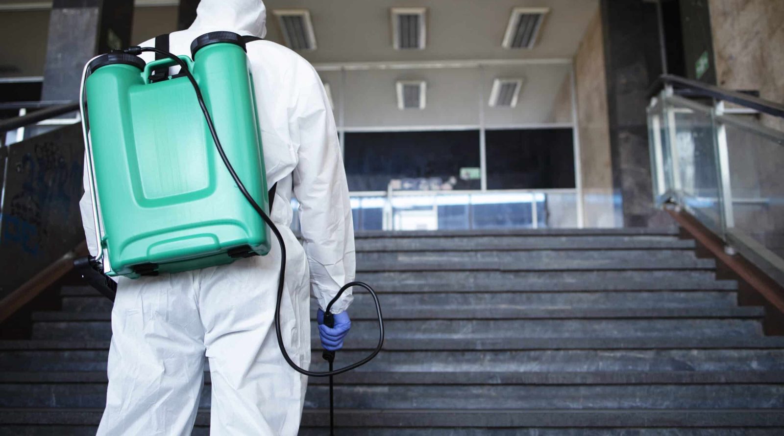 Dératisation à Dainville