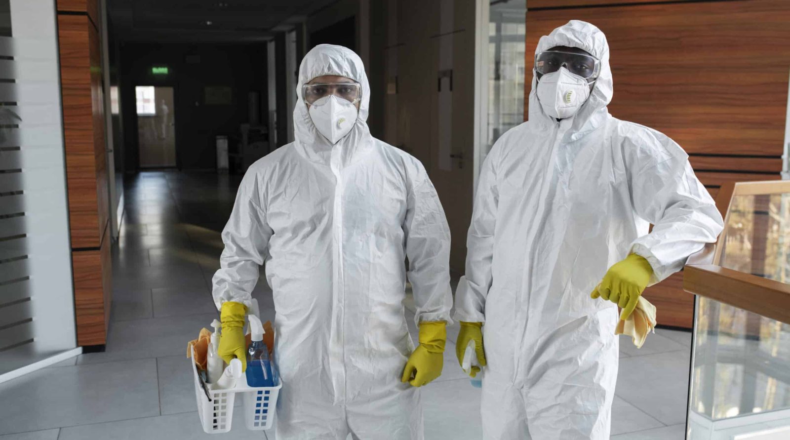 Votre expert en dératisation à Beaurains