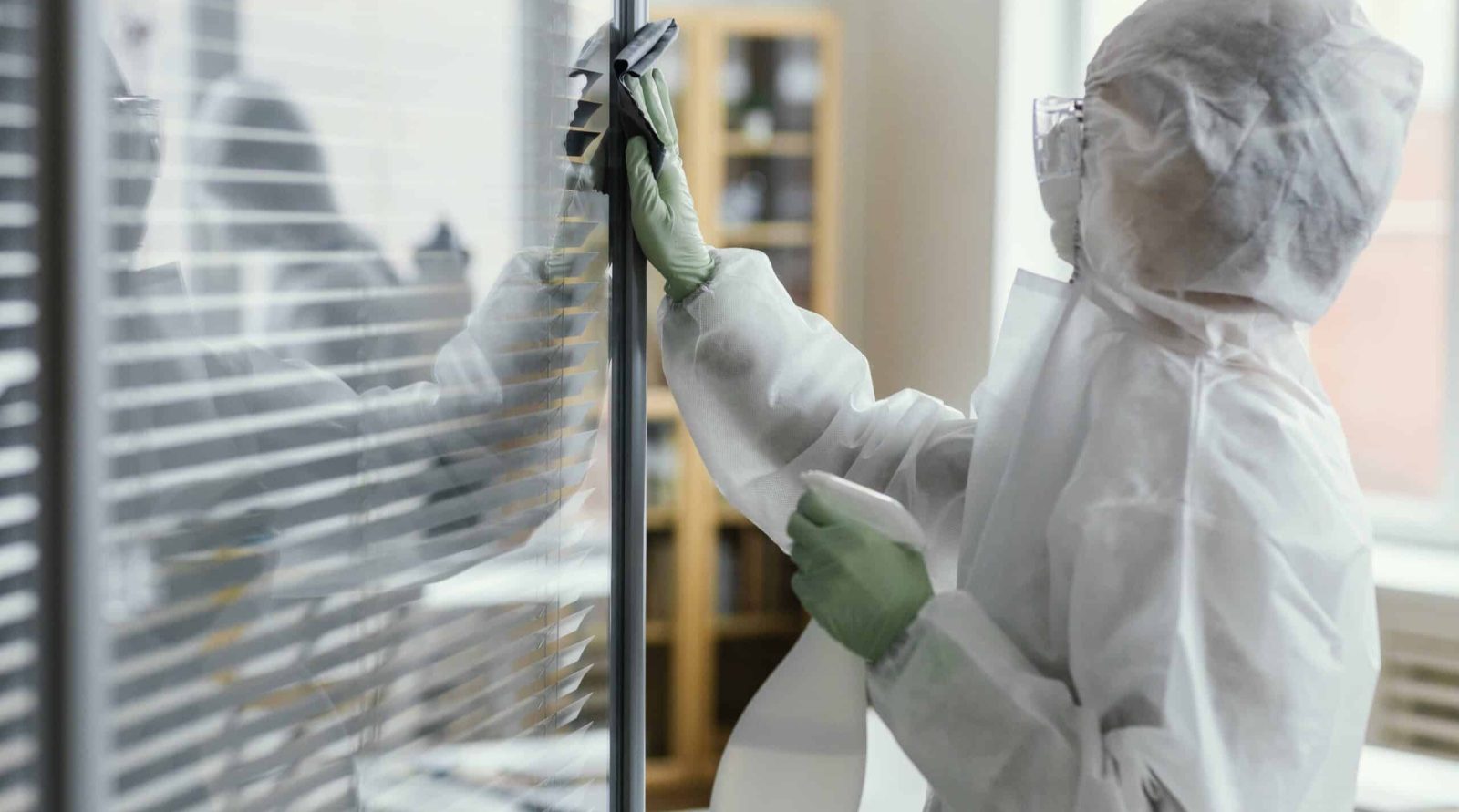 Dératisation à Dainville