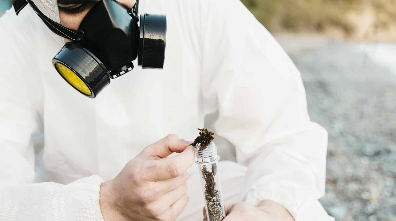 Dératisation à Bapaume