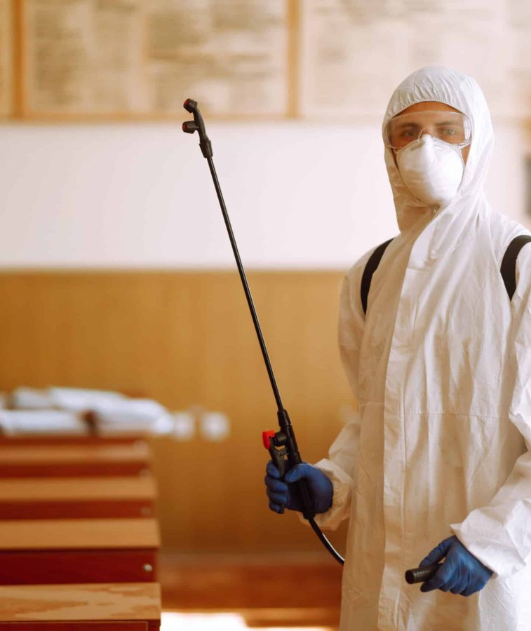 Entreprise experte en dératisation à Arras