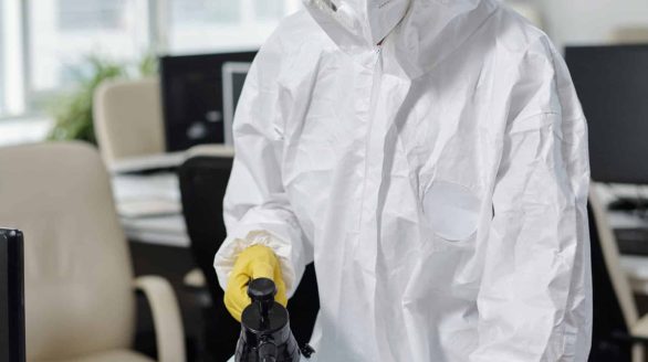 Désinsectisation professionnelle à Arras