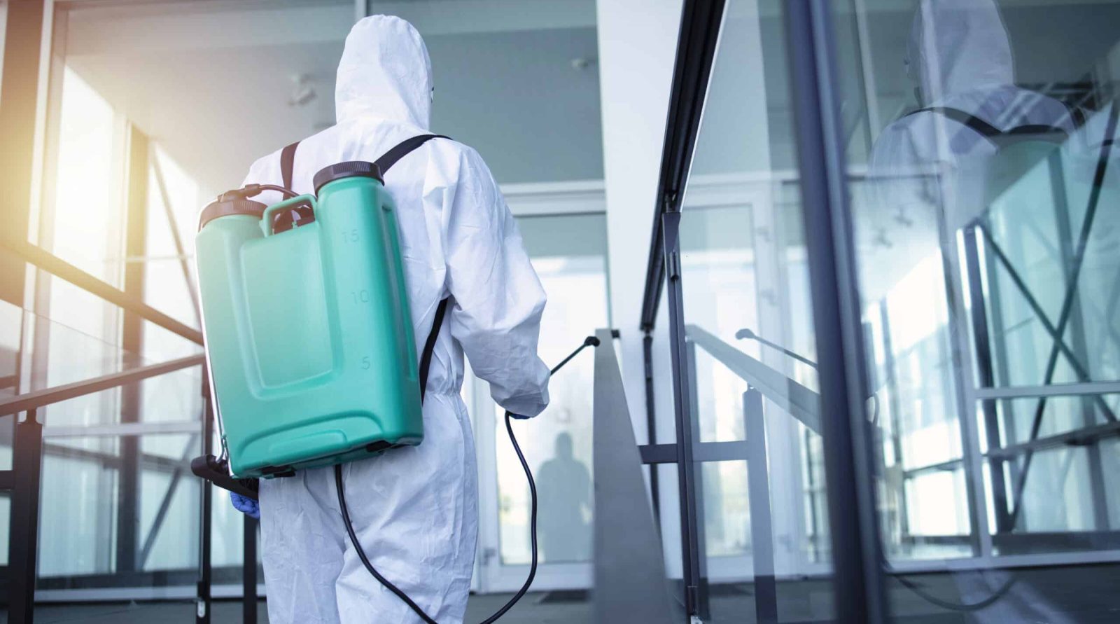 Dératisation à Bapaume