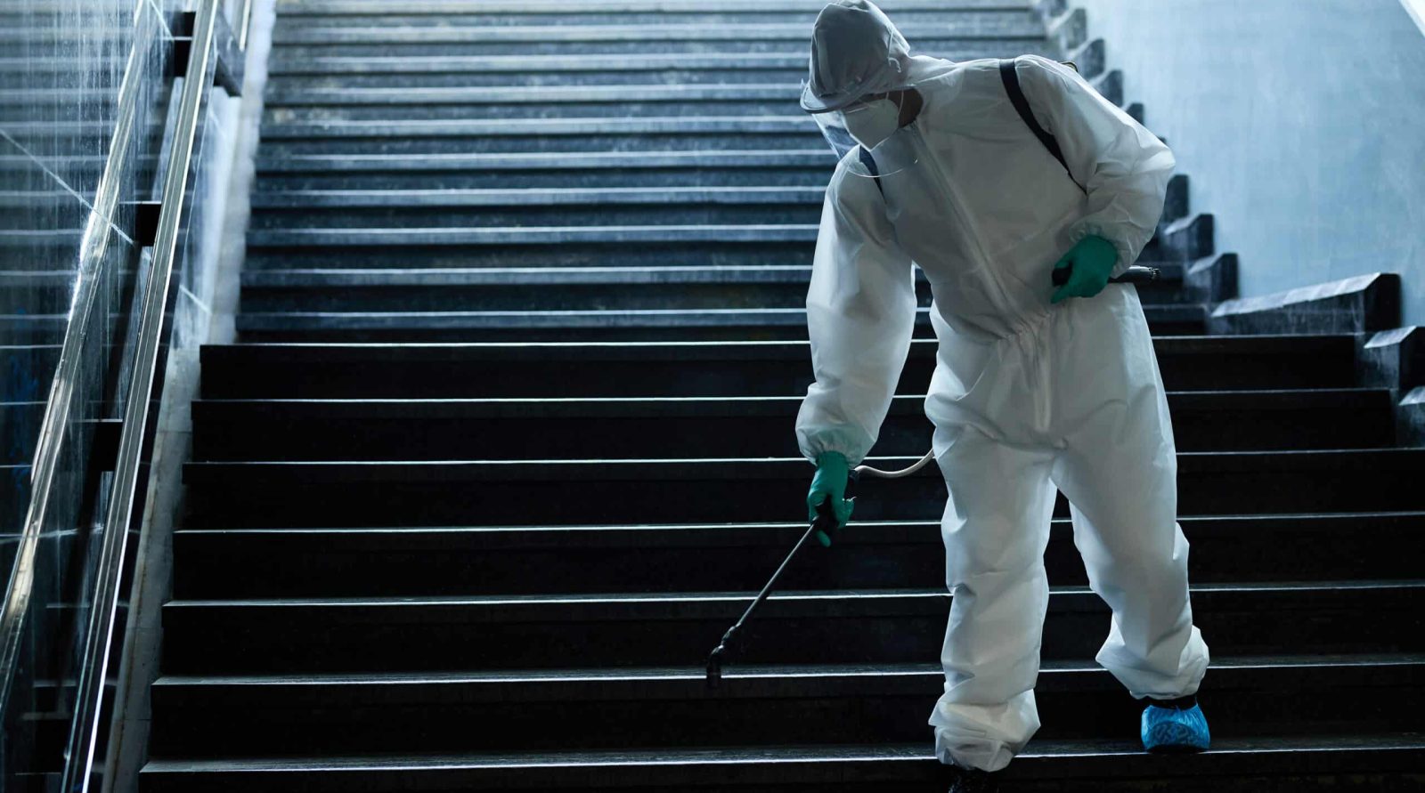 Votre expert en dératisation à Beaurains